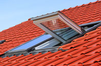 Langrigg roof window